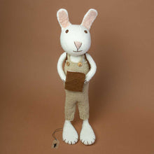 Load image into Gallery viewer, jumbo-sized-rabbit-wearing-a-sage-green-knitted-overall-with-brown-buttons-holding-a-brown-book-in-its-hands