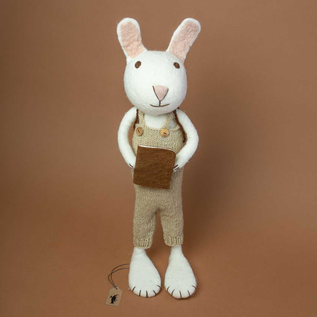 jumbo-sized-rabbit-wearing-a-sage-green-knitted-overall-with-brown-buttons-holding-a-brown-book-in-its-hands