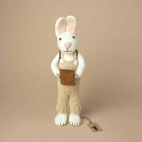 white-felted-rabbit-wearing-a-sage-green-knitted-overall-and-holding-a-brown-book-in-its-hands