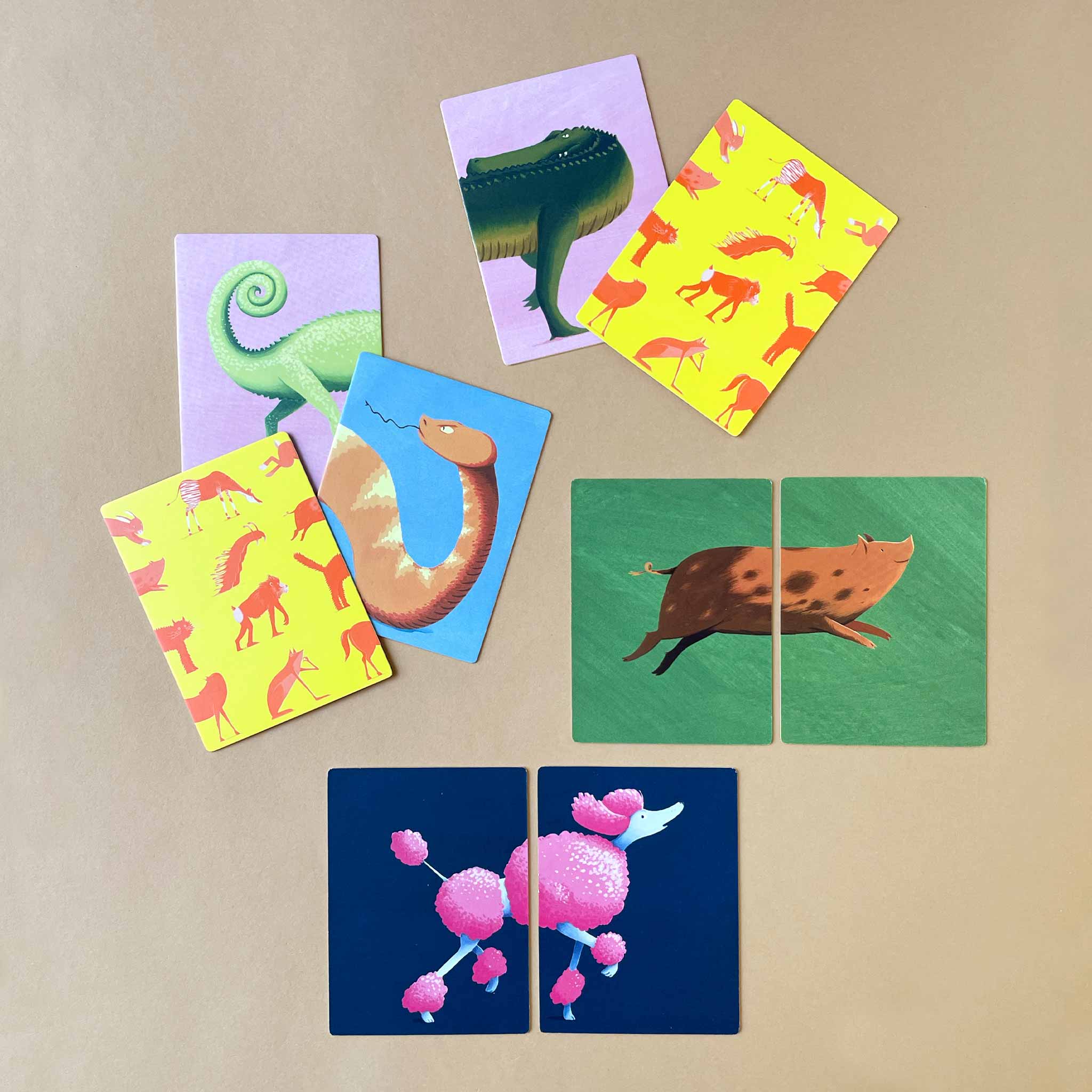 example-cards-poodle-pig-crocodile-lizard-snake