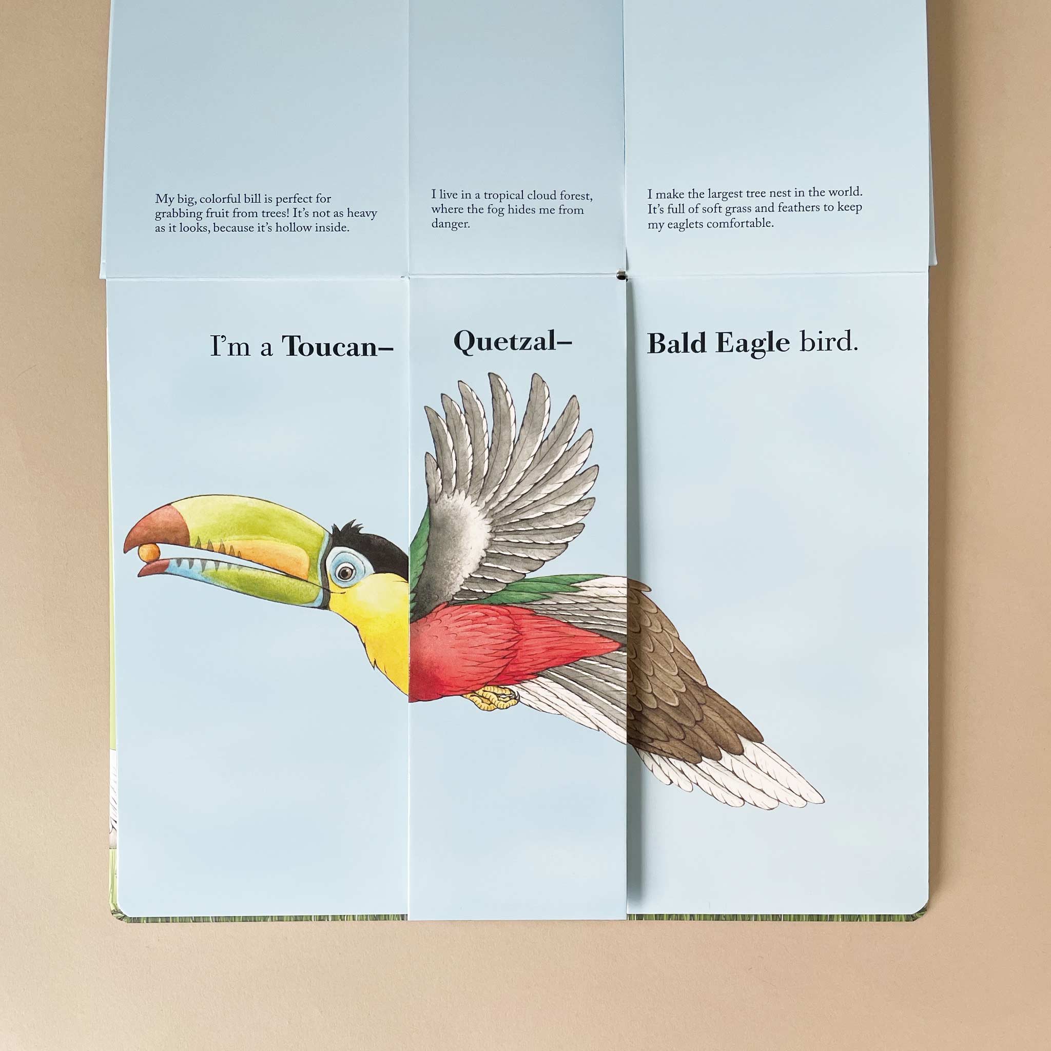 flip-a-feather-childrens-book-showing-three-parts-of-birds-toucan-quetzal-and-bald-eagle