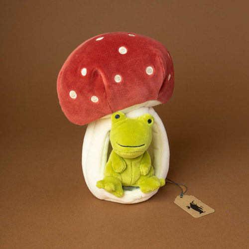 small-green-frog-sitting-in-a-mushroom