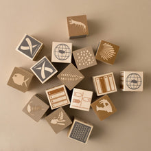Load image into Gallery viewer, Wooden Block Set | Fossils - Building/Construction - pucciManuli