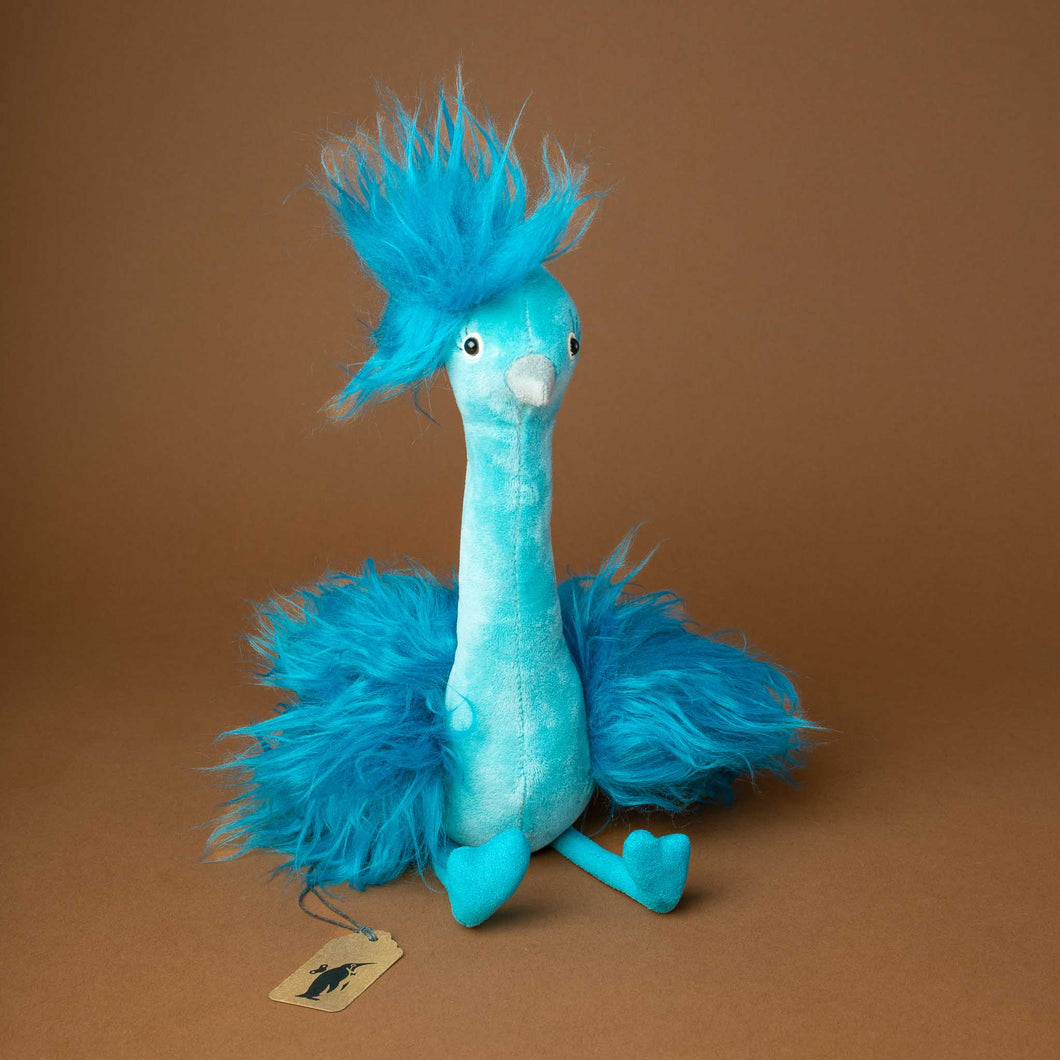 turquoise-blue-peacock-with-fluffy-wings-and-hair-on-his-head