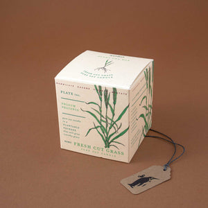 plantable-seed-infused-package