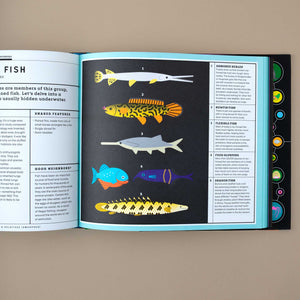 open-page-showing-different-types-of-fish
