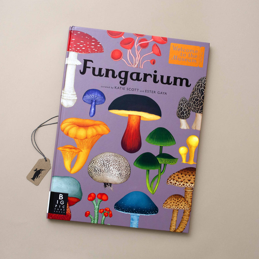 purple-colorful-fungarium-book-various-mushrooms-cover