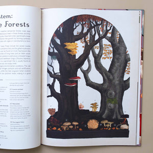 interior-page-forests