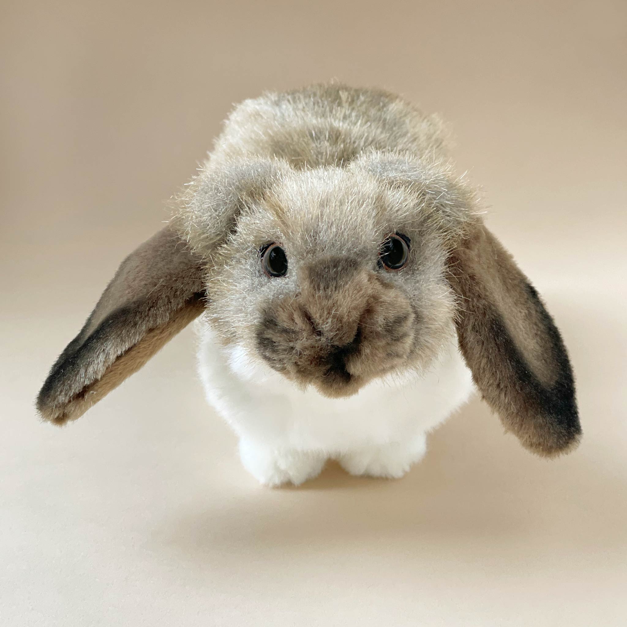 face-detail-of-realistic-german-lop-ear-rabbit-stuffed-animal