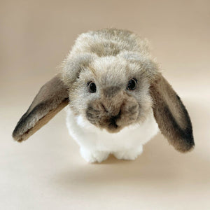face-detail-of-realistic-german-lop-ear-rabbit-stuffed-animal
