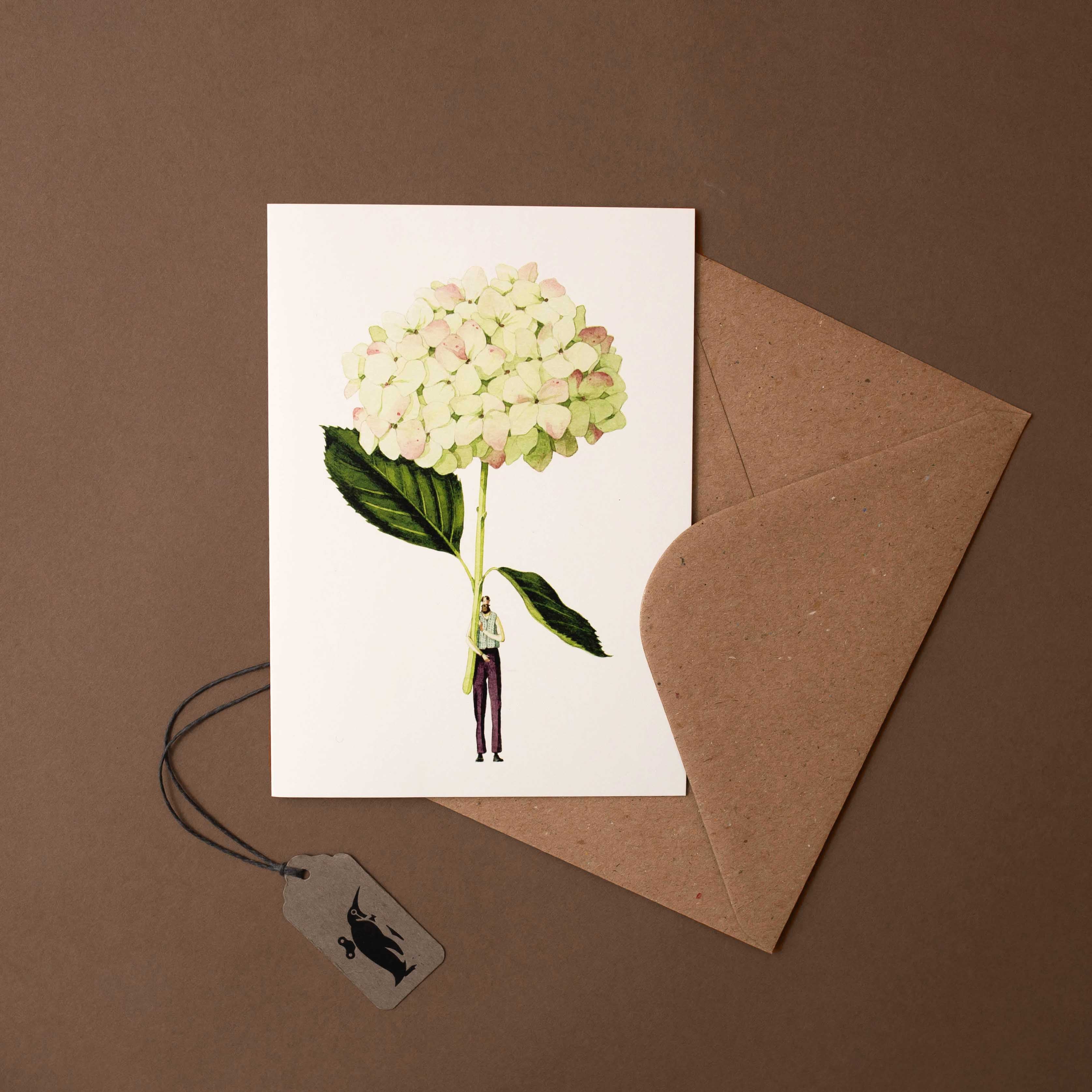 man-holding-large-white-hydrangea-illustration