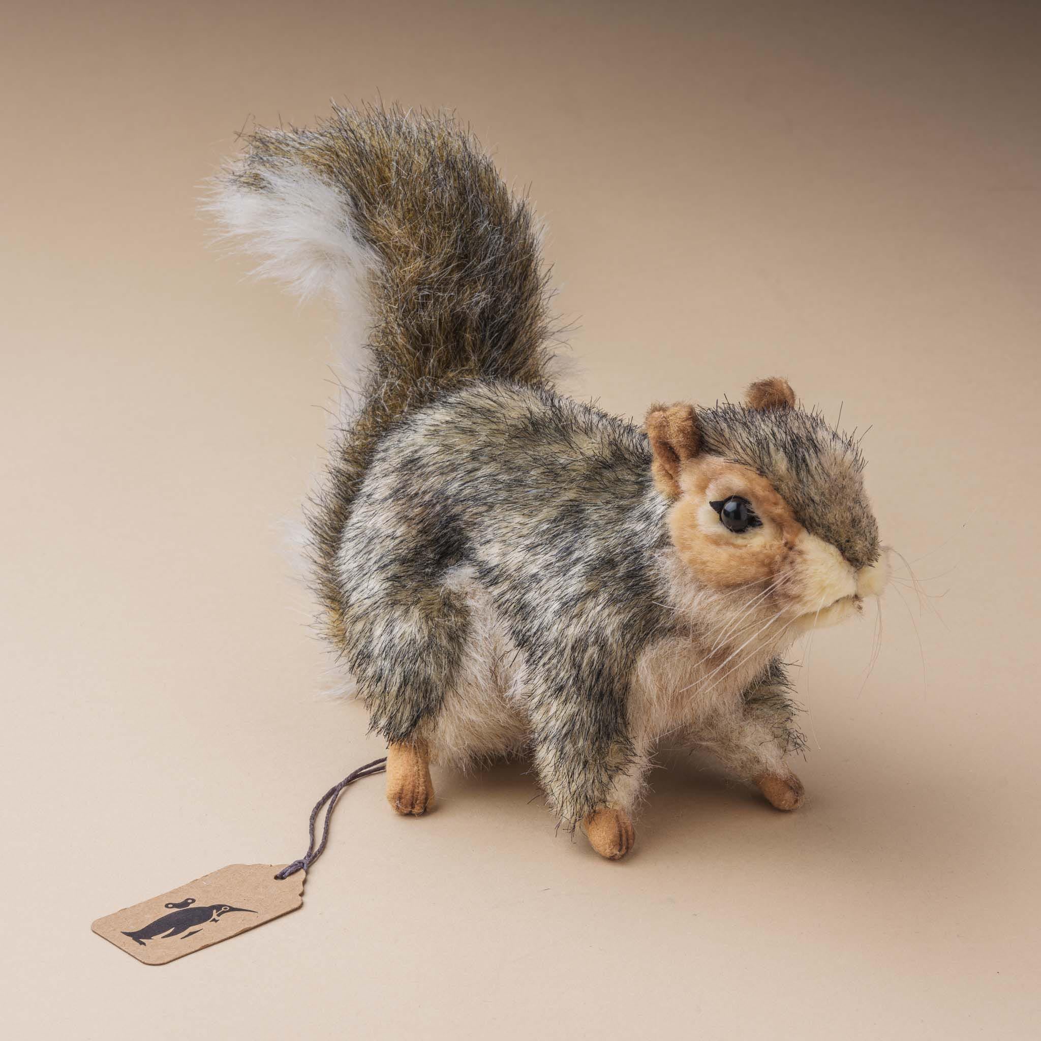 Real cheap stuffed squirrel