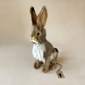 Black-Tail Jack Rabbit | Small - Stuffed Animals - pucciManuli