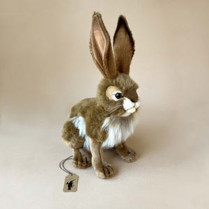 Black-Tail Jack Rabbit | Medium - Stuffed Animals - pucciManuli