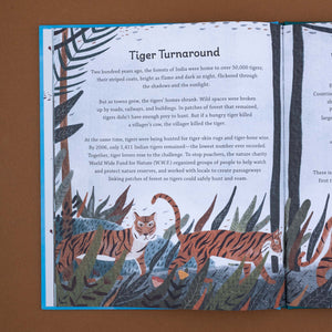 interior-page-tiger-turnaround