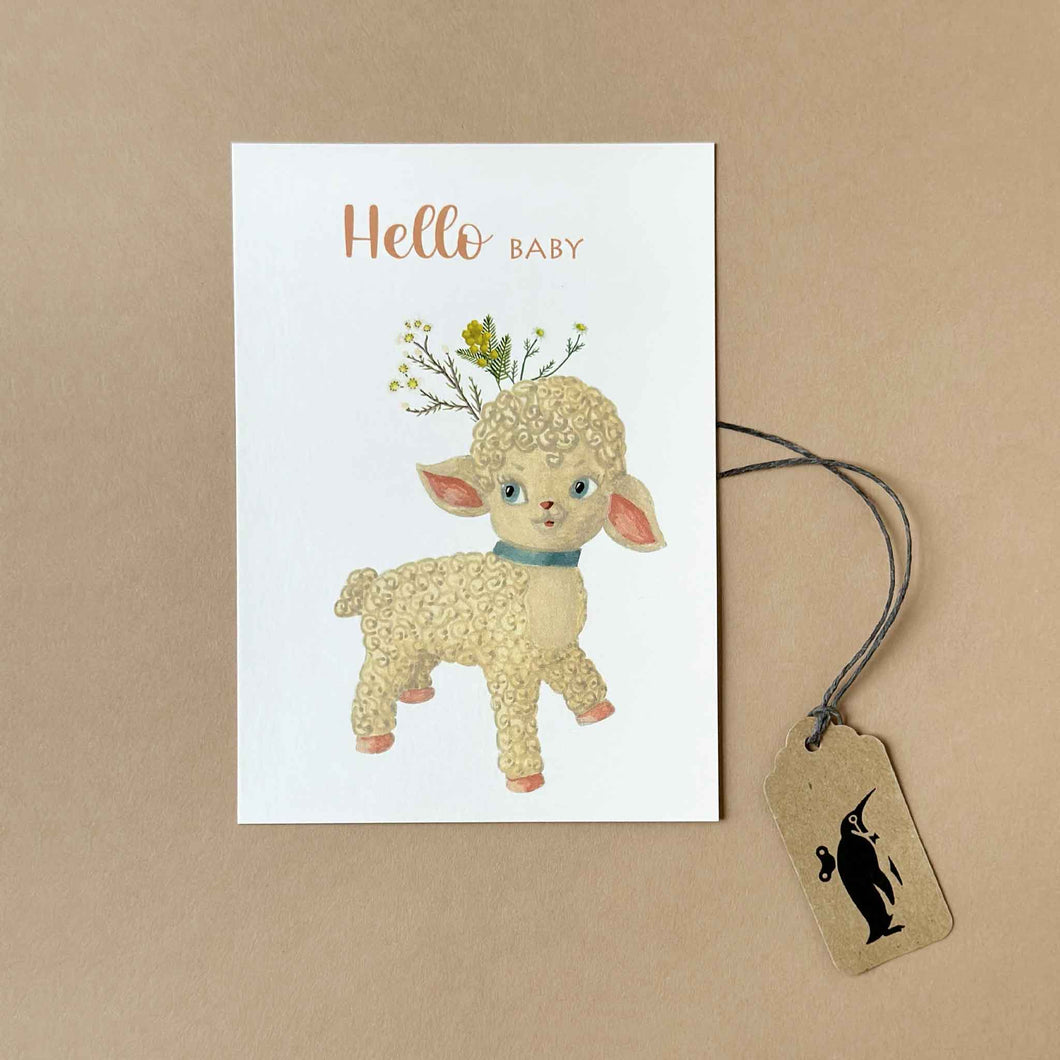 Hello Baby Lamb Postcard