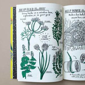 interior-page-feed-the-bees