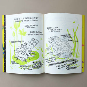 interior-page-frogs-and-toads