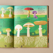 Load image into Gallery viewer, Humongous Fungus - Books (Children&#39;s) - pucciManuli