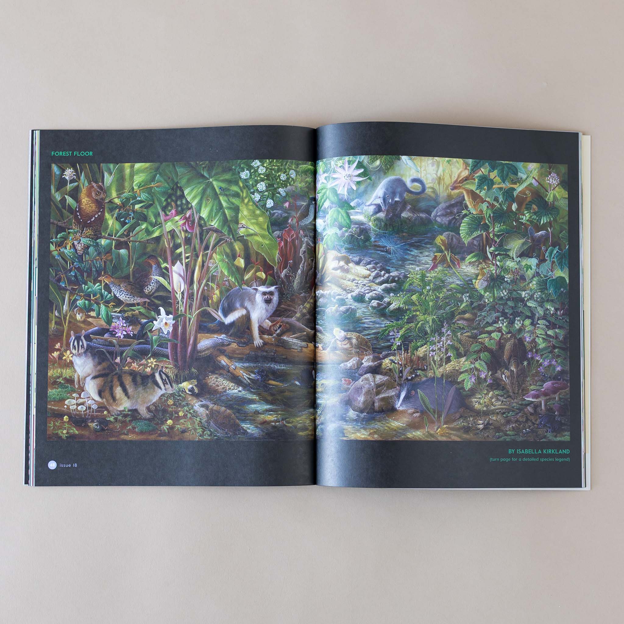 interior-page-forest-floor-art