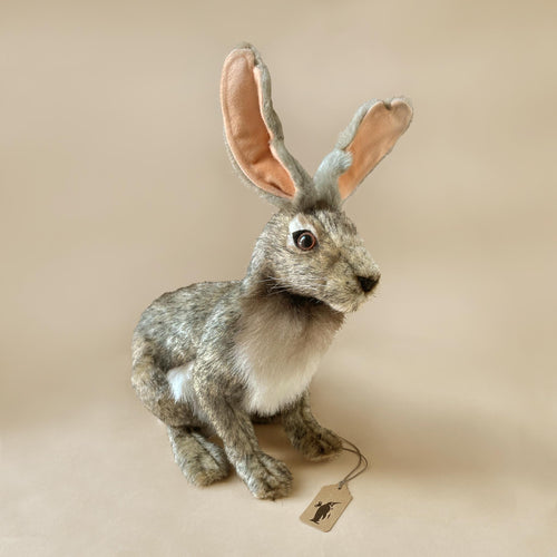 realistic-jack-rabbit-stuffed-animal