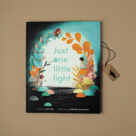 Just One Little Light Book