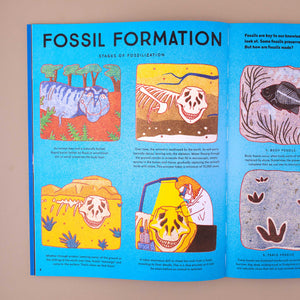 open-book-showing-blue-page-with-information-and-illustrations-about-the-fossil-formation
