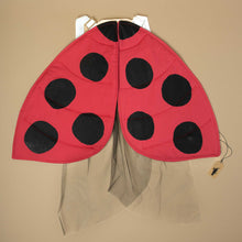 Load image into Gallery viewer, ladybug-wings-with-straps-to-wear-on-kids-back
