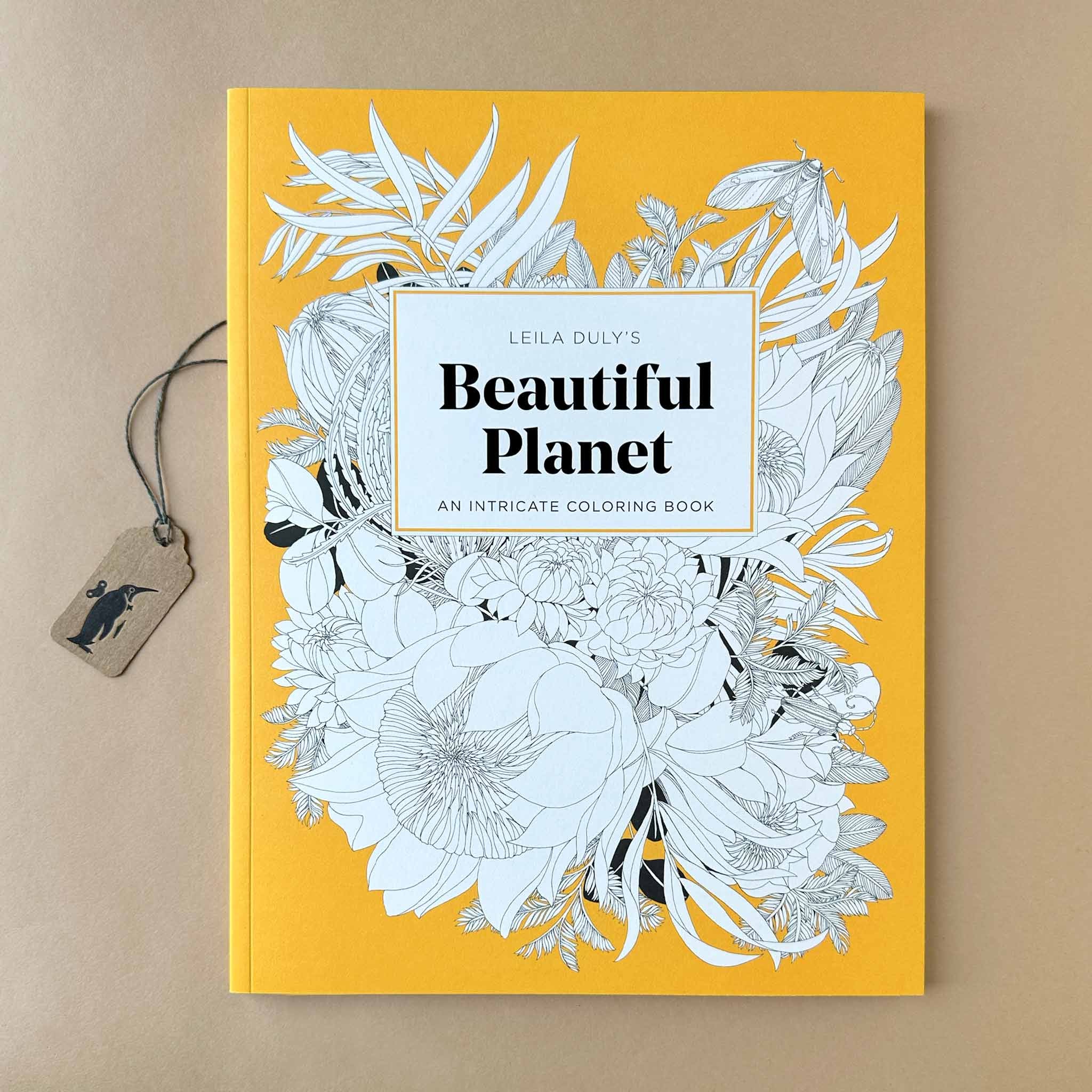 https://puccimanuli.com/cdn/shop/products/leila-dulys-beautiful-planet-and-intricate-coloring-book_2048x.jpg?v=1681853555