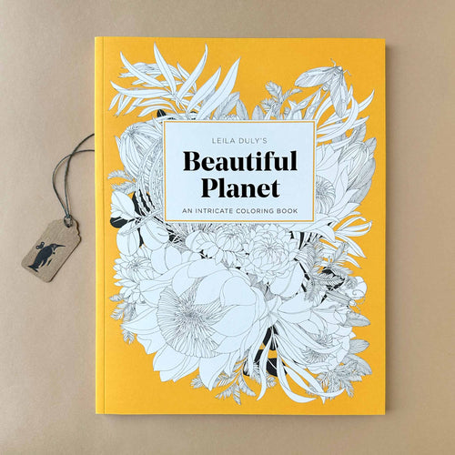 cover of the coloring book Beautiful Planet by Leila Duly