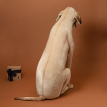 Load image into Gallery viewer, great-dane-stuffed-animal-from-behind