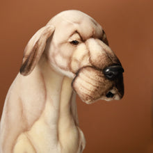 Load image into Gallery viewer, detail-great-dane-face