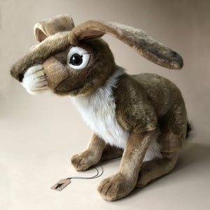 realistic-brown-life-sized-jack-rabbit-stuffed-animal