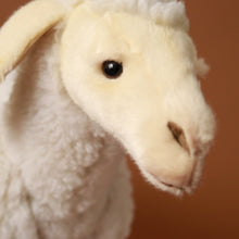 Load image into Gallery viewer, lamb-detail-face
