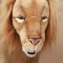 Load image into Gallery viewer, detail-lion-face