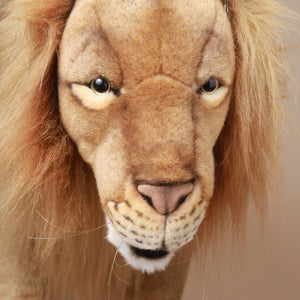 detail-lion-face
