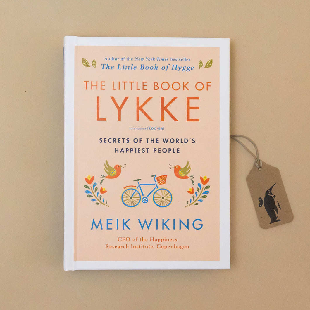 soft-blush-cover-with-scandinavian-bird-bicycle-floral-imagery-on-little-book-of-lykke-cover