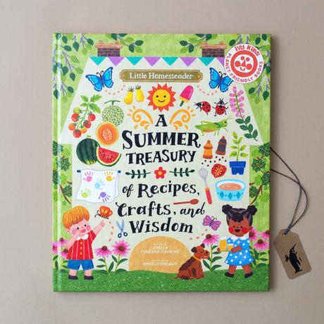 A Summer Treasury of Recipes, Crafts & Wisdom Book - Books (Children's) - pucciManuli