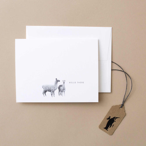 greeting-card-with-the-text-hello-there-and-two-llamas-on-white-background