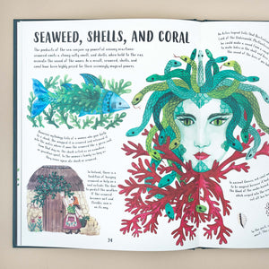 interior-page-seaweed-shells-and-coral