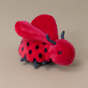 loulou-love-bug-red-with-black-polka-dots-lady-bug-stuffed-animal