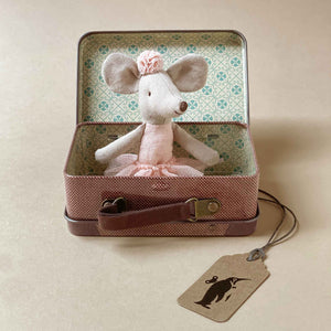 grey-mouse-in-pink-outfit-inside-brown-suitcase