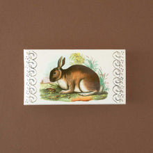 Load image into Gallery viewer, backside-of-matches-box-with-brown-rabbit-on-beige-background