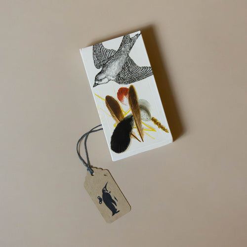    matches-sparrow-and-specimen