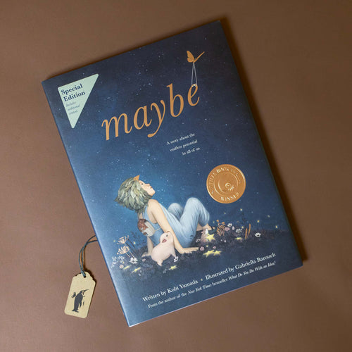  maybe-book-deluxe-edition-gold-seal-with-child-looking-dreamily-up-at-the-night-sky
