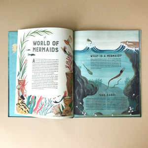 mermaid-atlas-interior-pages