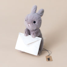 Load image into Gallery viewer, messenger-bunny-with-envelope-for-special-message-stuffed-animal