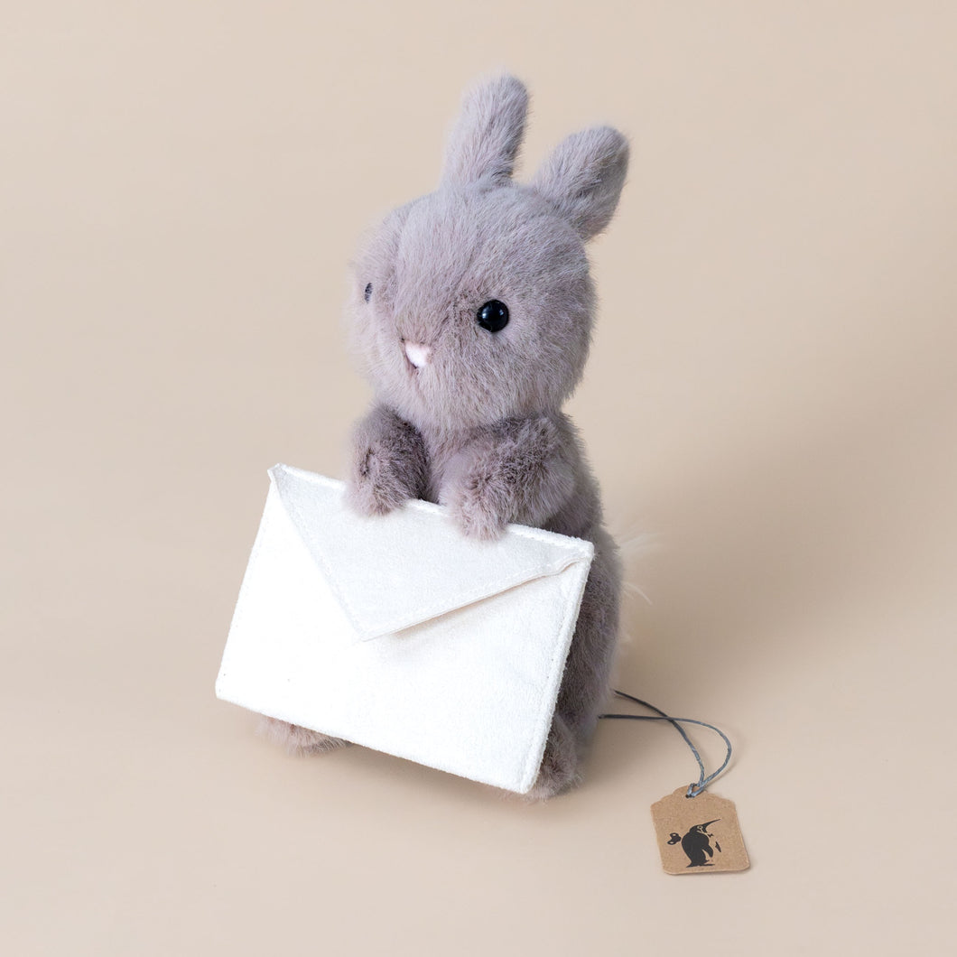 messenger-bunny-with-envelope-for-special-message-stuffed-animal