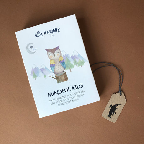 mindful-kids-card-box-with-owl-and-mountain-illustration