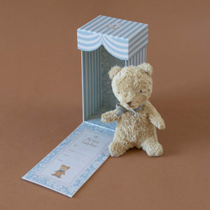 teddy-bear-next-to-blue-striped-box-with-side-folded-open